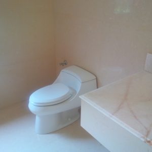 Master Bathroom Jacuzzi- Platinum Cream/Golden Spider Marble Works