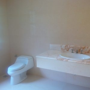 Master Bathroom Jacuzzi- Platinum Cream/Golden Spider Marble Works